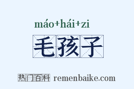 毛孩子是什么意思的图片